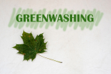 Greenwashing: What is it and should it be done